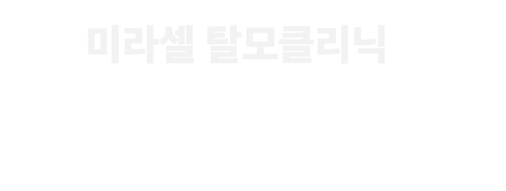 미라셀 소개